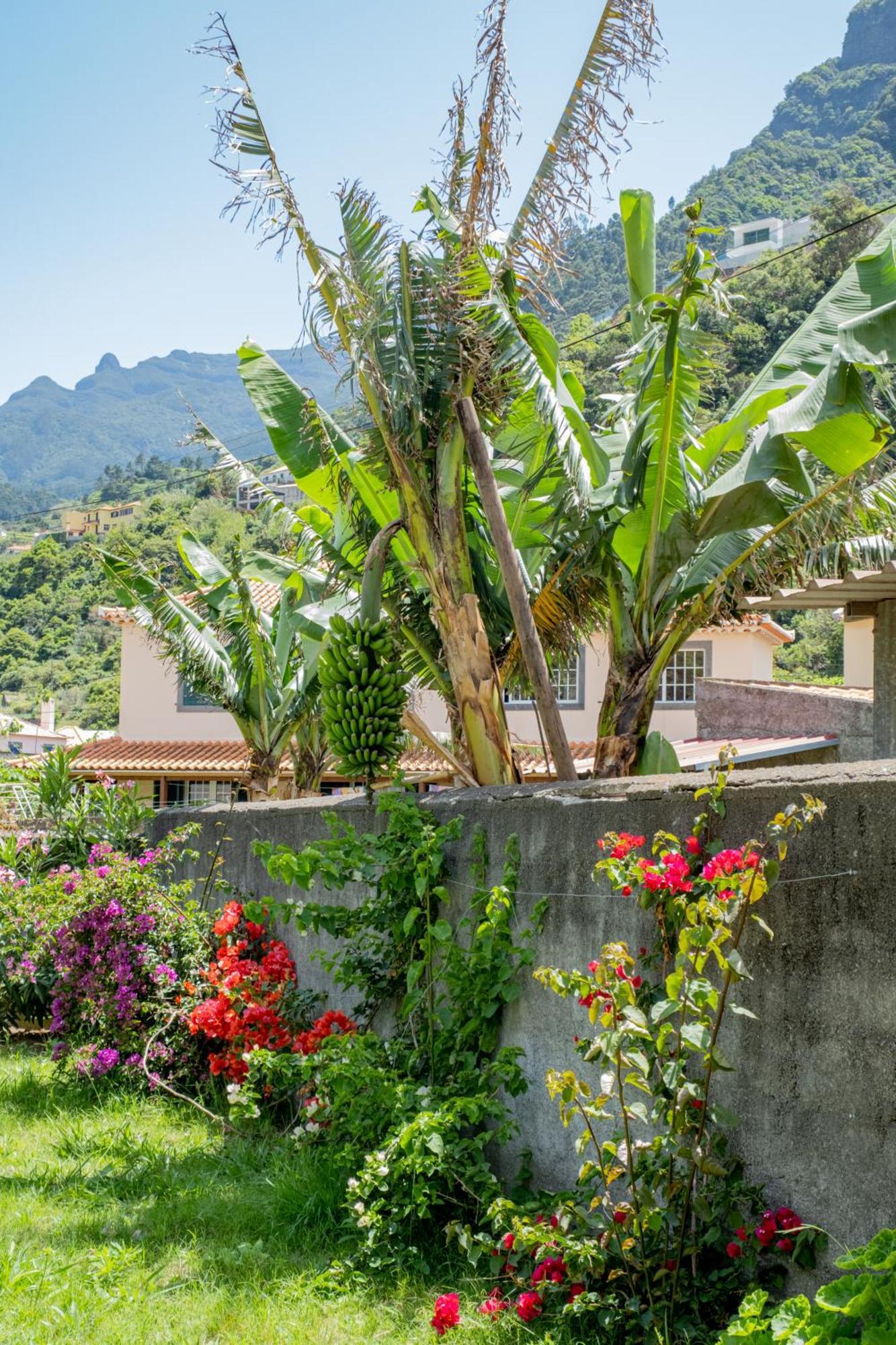 Sao Vicente Guest House Exteriér fotografie