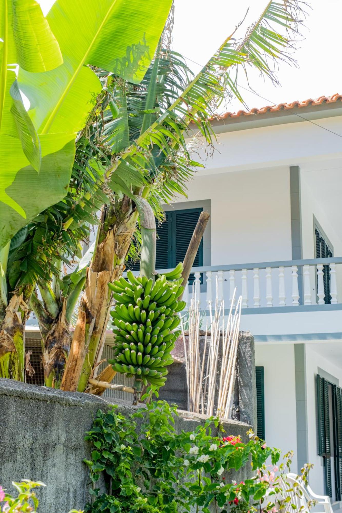 Sao Vicente Guest House Exteriér fotografie